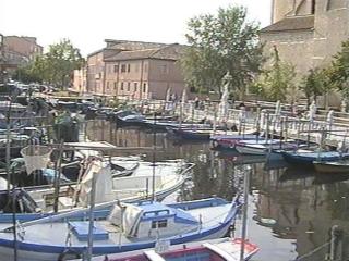 chioggia